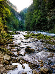 View on the Vintgar Gorge waterfall in Slovenia