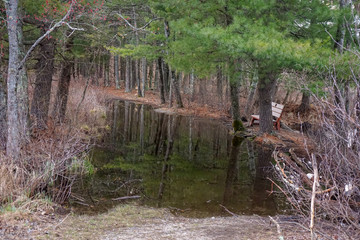 flooded path