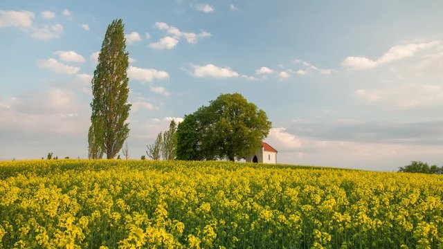 Yellow rape field at sunset with chapel - Time lapse, Slovakia landscape