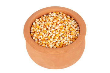 corn seeds in the plate