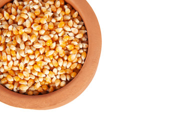 corn seeds in the plate