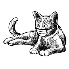 illustration of cat with mask hand drawn