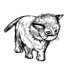 illustration of cat with mask hand drawn