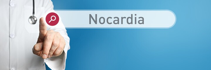 Nocardia. Arzt im Kittel zeigt mit dem Finger auf ein Suchfeld. Der Begriff Nocardia steht im...