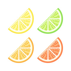 Citrus fruit quarter slice flat detailed with pulp vector icon design colored set. Lemon lime orange grapefruit sign symbol illustration.