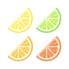 Assorted colored citrus fruit quarter slice vector version 3 icon logo illustration design set.