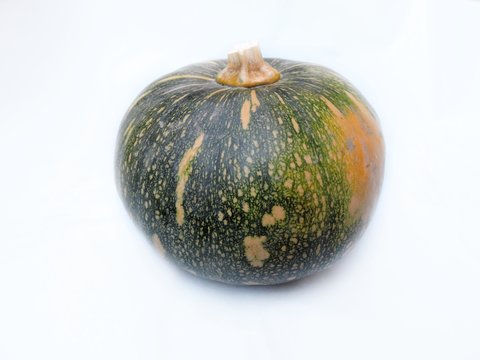 pumpkin on a white background