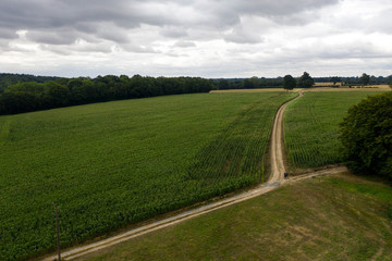 Aerial view of green fields in rural France