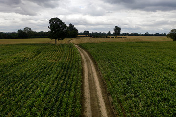 Fototapeta na wymiar Aerial view of green fields in rural France