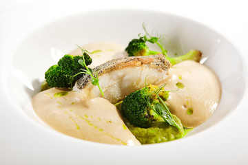 Sea cod fillet close up