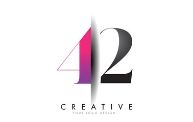 42 4 2 Grey and Pink Number Logo with Creative Shadow Cut Vector.
