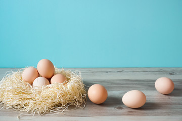 egg 卵