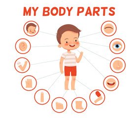 Poster for children learning. Cheerful boy and his body parts in separate pictures