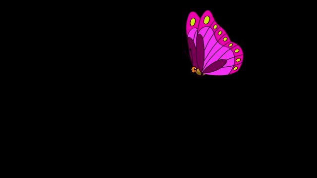 Purple striped butterfly flies alpha