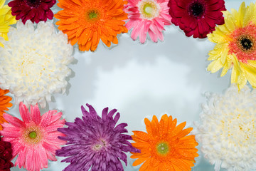 Closeup of colorful flowers floating on water background