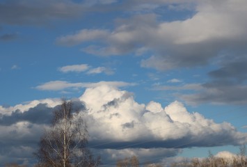 bright turquoise sky with beautiful large clouds, wire lines and crowns of birches