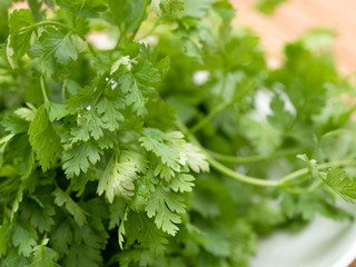 ハーブ　チャービル