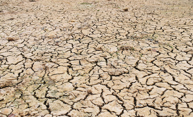 dry cracked earth