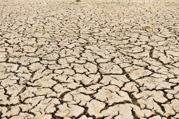 dry cracked earth