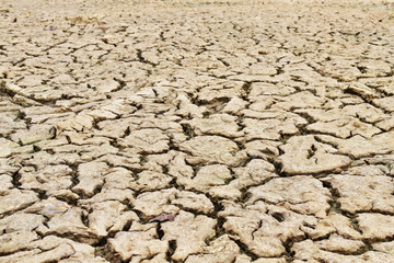dry cracked earth