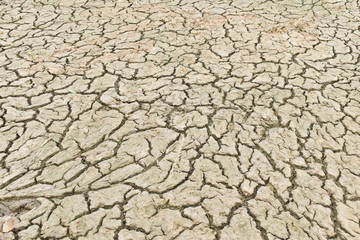 dry cracked earth