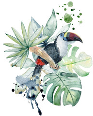 Tropical watercolor illustration © Tapilipa
