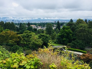 view from the mountain