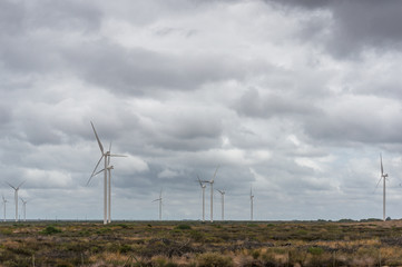 Wind farm with wind turbines windmills generating sustainable electricity