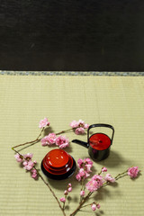 日本酒　Image of typical sake (Japanese liquor)