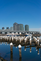 Melbourne Docklands suburb with wharf, boats and modern buildings