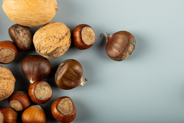 Nuts ,walnuts and chestnuts isolated on blue background