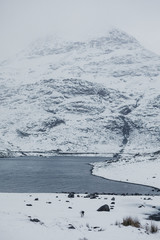 Snowy landscape