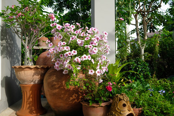 Beautiful garden in Thai style. Home garden.