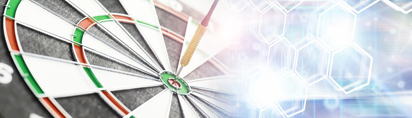 Darts. The dart for playing in the game board is stuck. Hit the sector in darts. The concept of a...