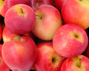 Local New Zealand apple on background