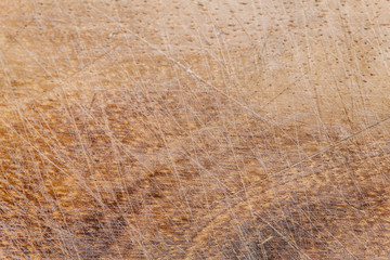 Wooden plank close up