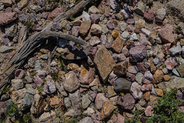 Rocks and Dead Wood in Desert