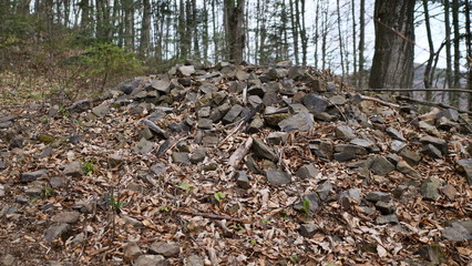 pile of firewood