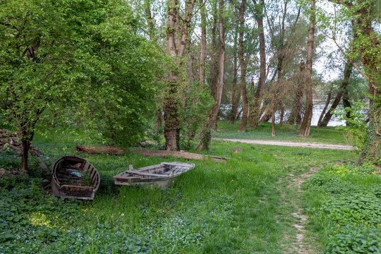 Old wooden boats near the river Danube