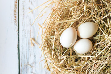 Top view of fresh organic white eggs on nest hay on dark grunge background with copy space.
