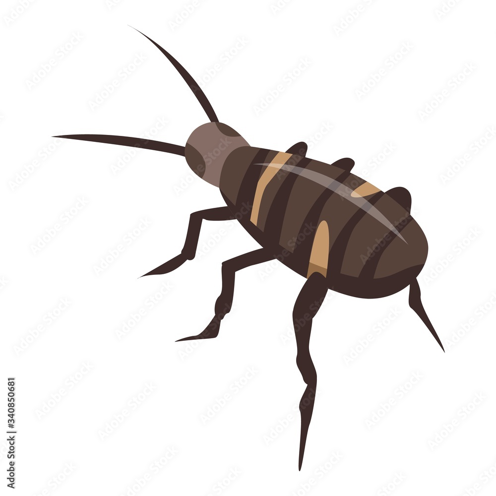 Poster exterminator roach icon. isometric of exterminator roach vector icon for web design isolated on whit