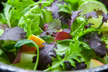 Vegetarian favorite, continental breakfast lettuce salad with diverse vegetables