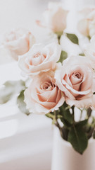 Romantic roses phone background