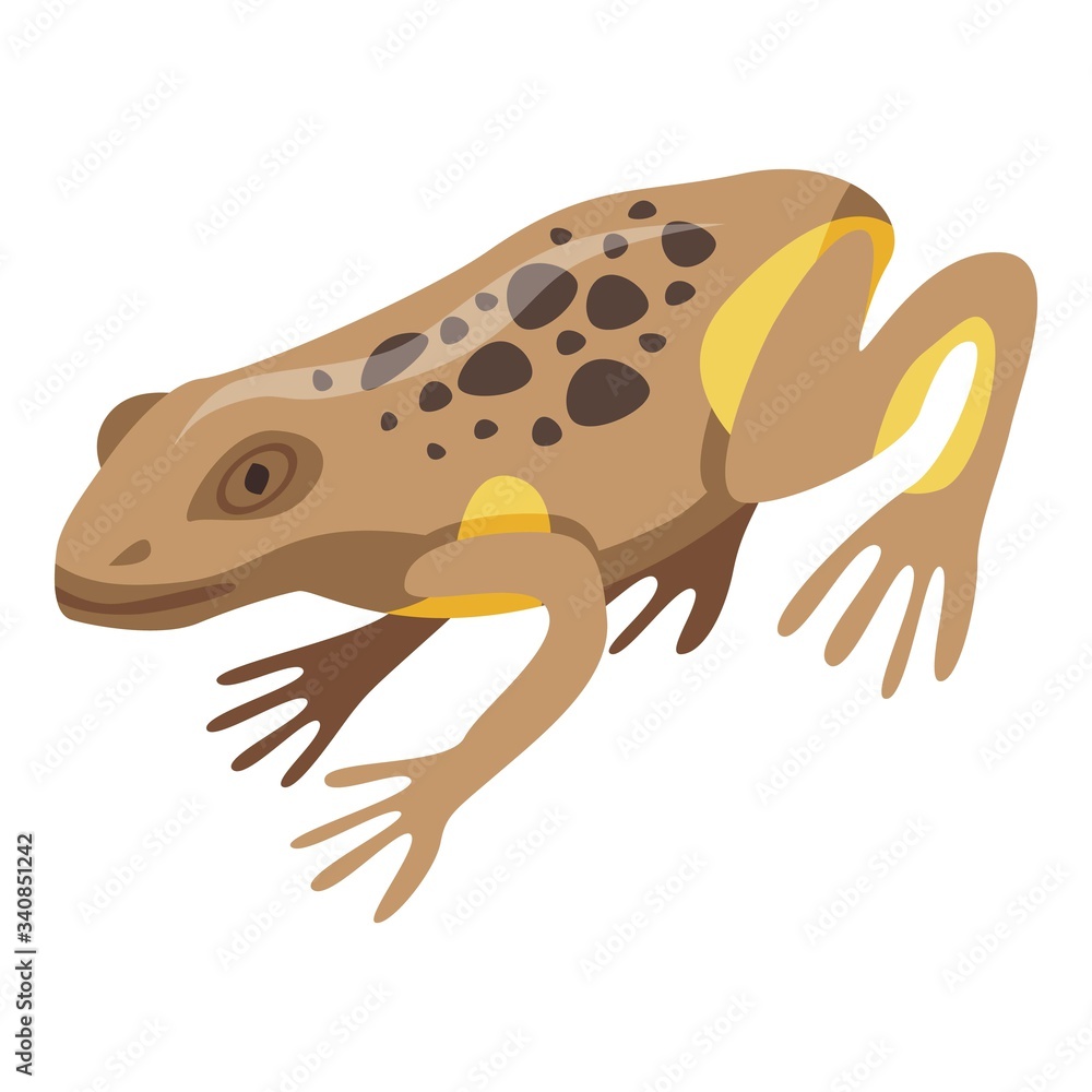 Poster frog icon. isometric of frog vector icon for web design isolated on white background