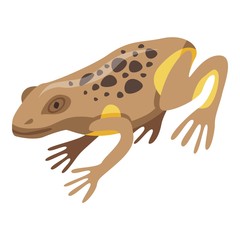 Frog icon. Isometric of frog vector icon for web design isolated on white background