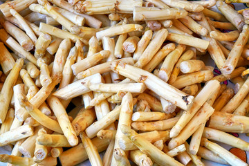 A lot of fresh white asparagus heads.