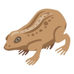 Field frog icon. Isometric of field frog vector icon for web design isolated on white background