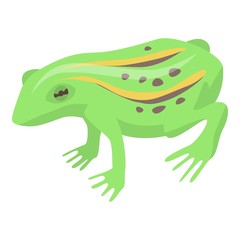 Lake frog icon. Isometric of lake frog vector icon for web design isolated on white background