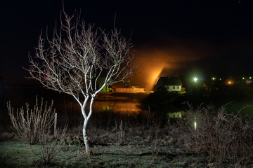 night landscape with a young tree and a rustic hut in the fog