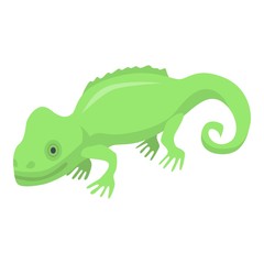 Green chameleon lizard icon. Isometric of green chameleon lizard vector icon for web design isolated on white background